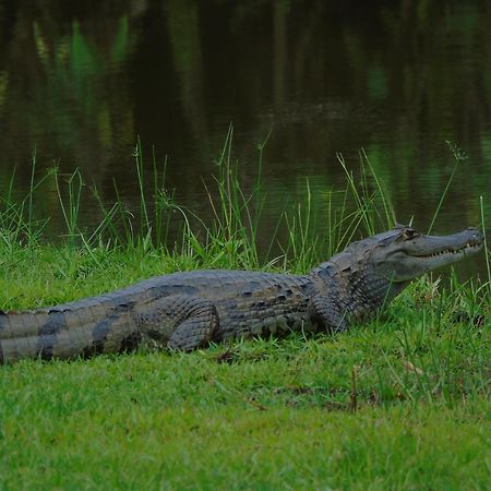 Hotel Reserva De Piedemonte La Palmera Zewnętrze zdjęcie
