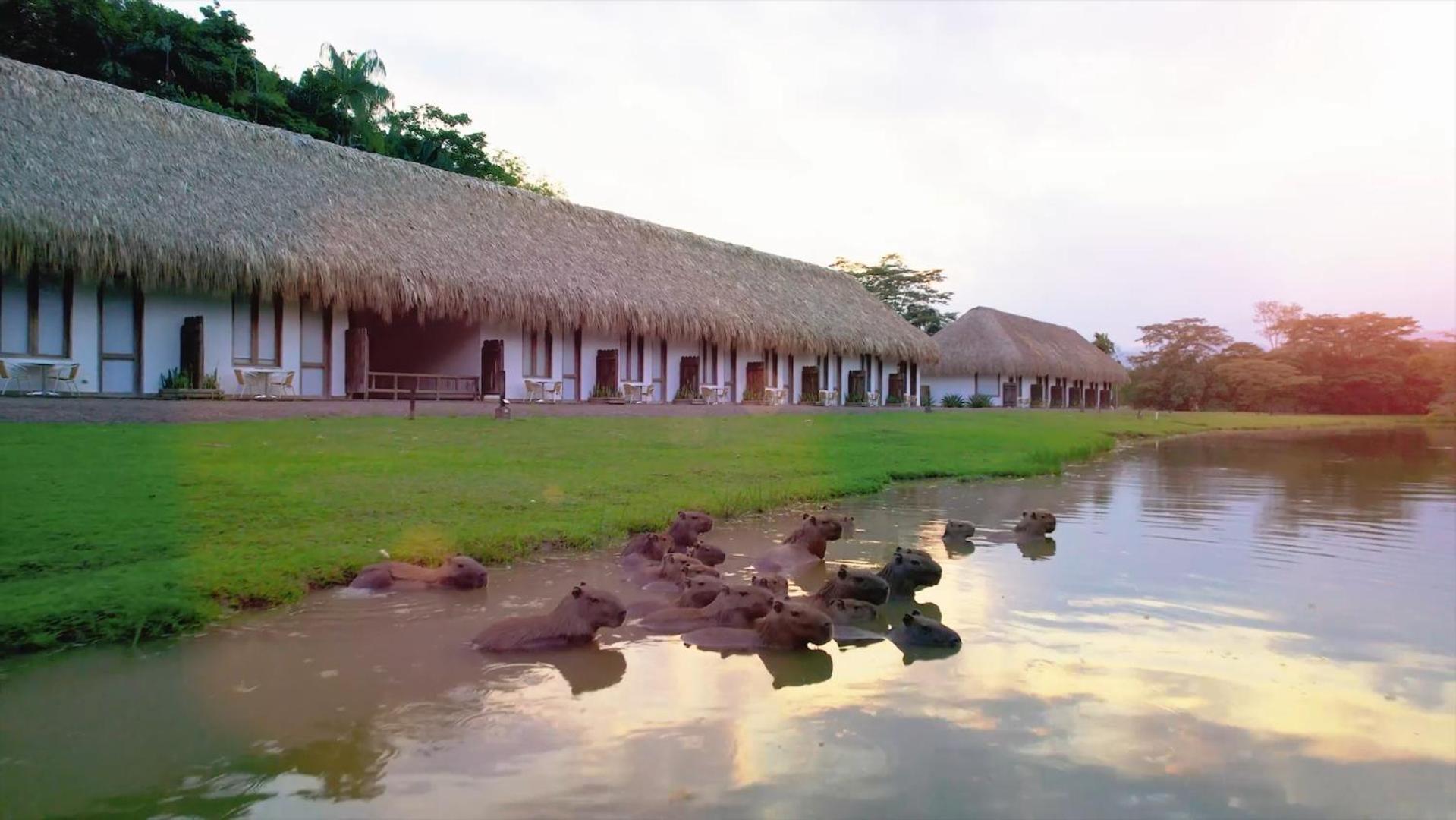 Hotel Reserva De Piedemonte La Palmera Zewnętrze zdjęcie