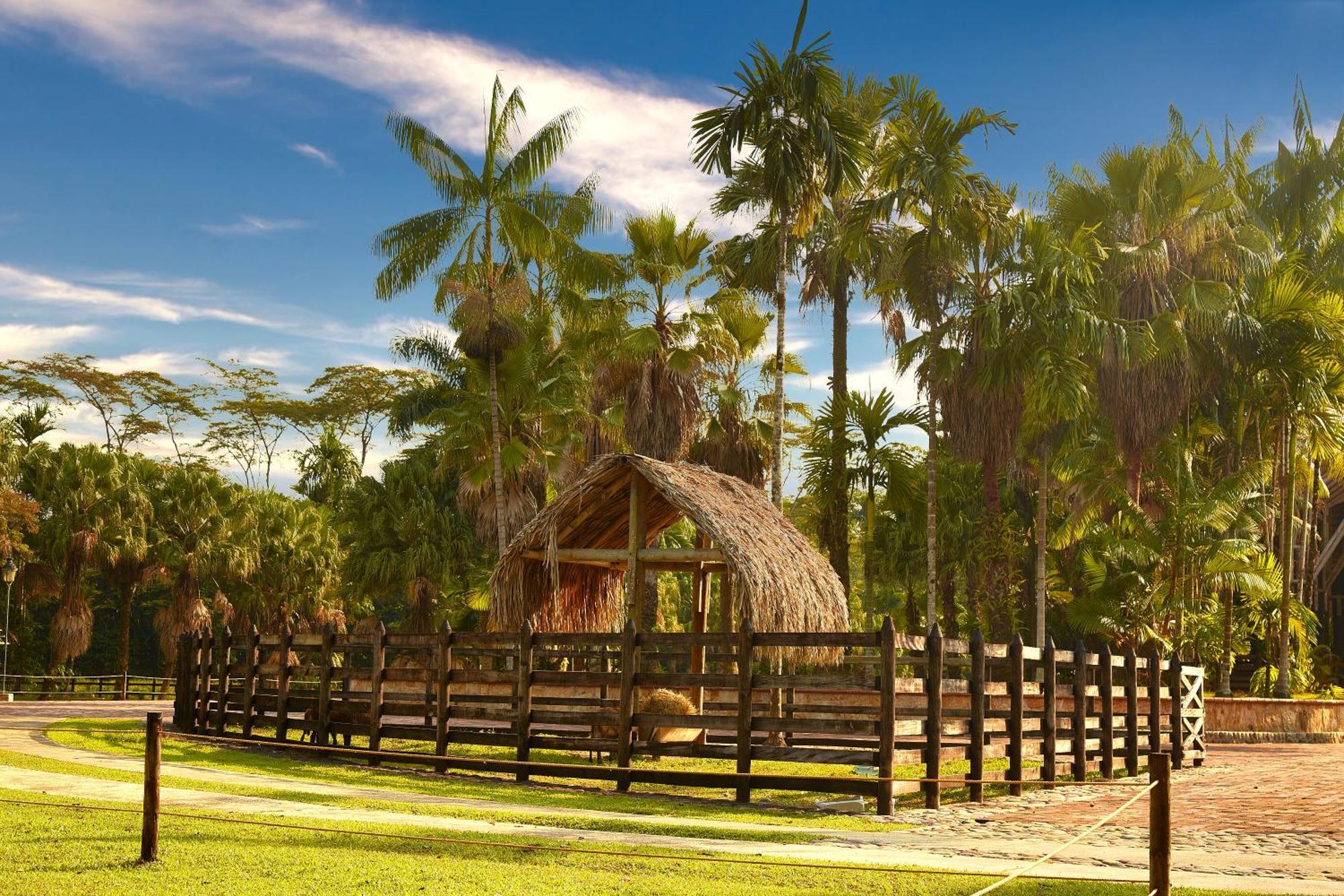 Hotel Reserva De Piedemonte La Palmera Zewnętrze zdjęcie