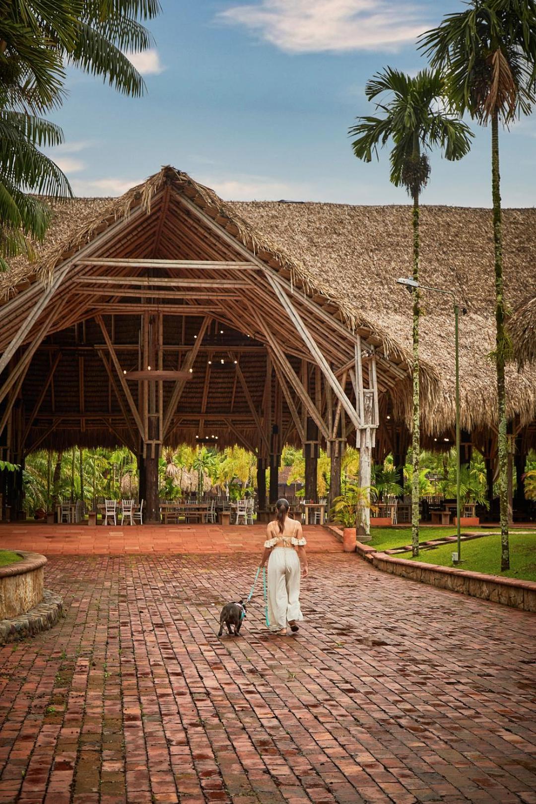 Hotel Reserva De Piedemonte La Palmera Zewnętrze zdjęcie